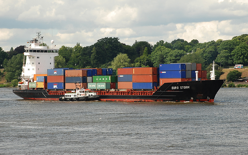 Kühe auf einer Wiese mit Containerschiff im Hintergrund